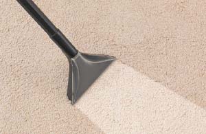 domestic carpet cleaning service melbourne