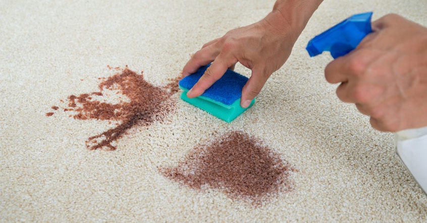 Carpet Stain Removal Melbourne