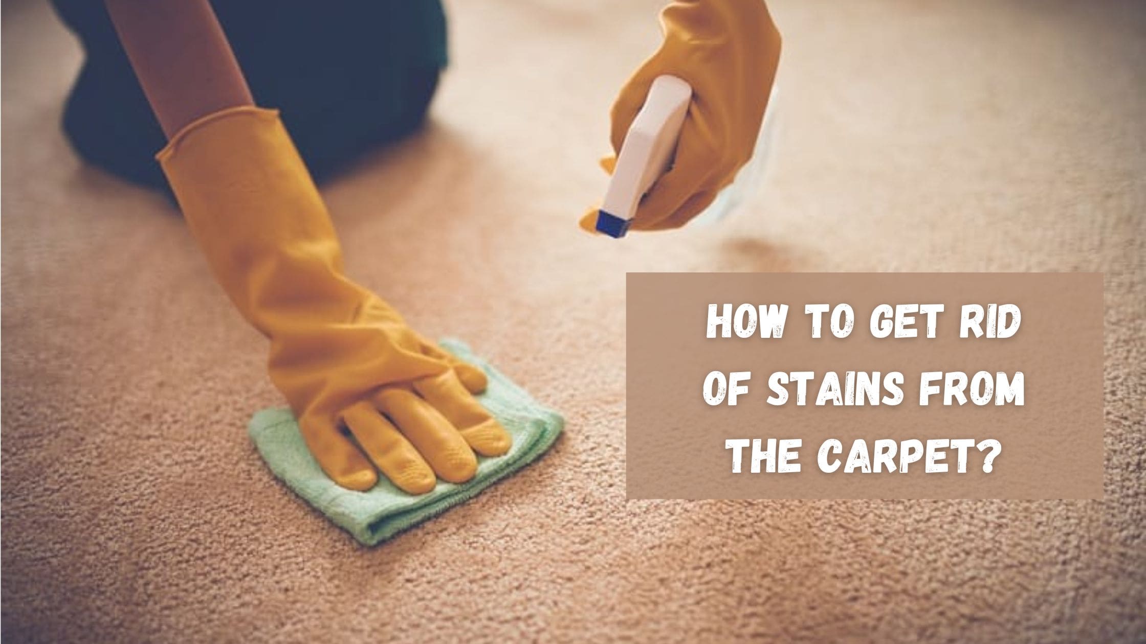 How To Get Rid Of Stain On Carpet at Patricia Mann blog