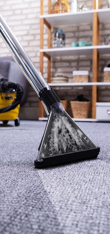 Professional Carpet Cleaners