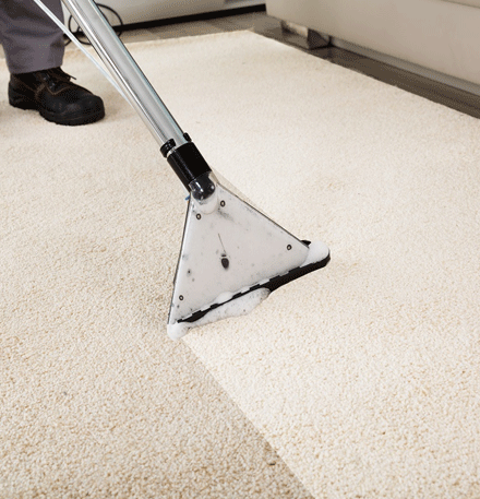 Benefits Of Carpet Cleaning Services