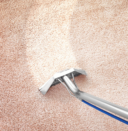 Best Carpet Cleaning