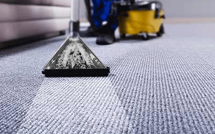 Best Home and Office Carpet Scotchgard