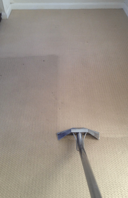 Best Results Of Carpet Cleaning Hallam