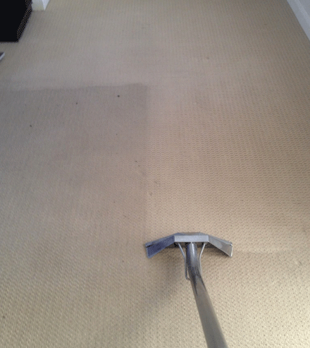 Carpet Cleaning Company In South Melbournea