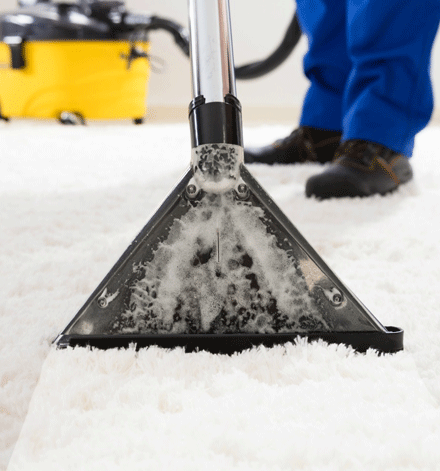Carpet Cleaning Grovedale