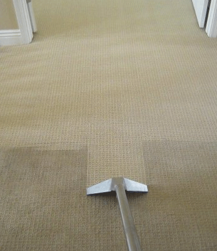 Eco Friendly Carpet Cleaning Service in Melton South