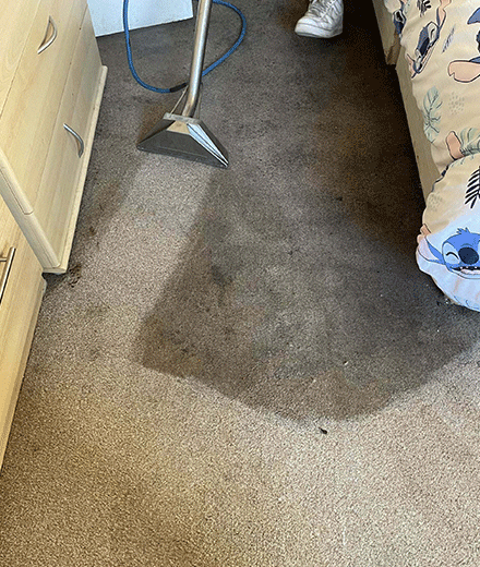 Carpet Cleaning Services In Brighton East