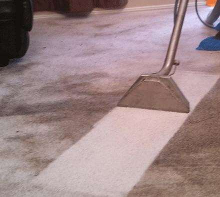 Carpet Cleaning South Melbourne Experts
