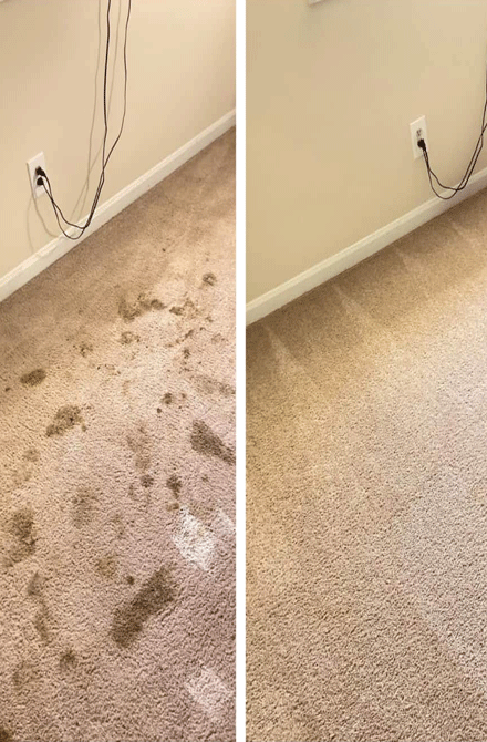 Carpet Cleaning Southbank for the best carpet cleaning