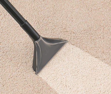 Carpet Cleaning, Stain Removal