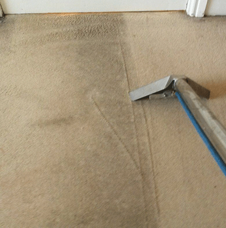 Carpet Shampooing Epping