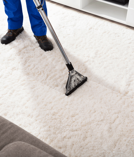 Carpet Stain Removal Services In Caulfield North