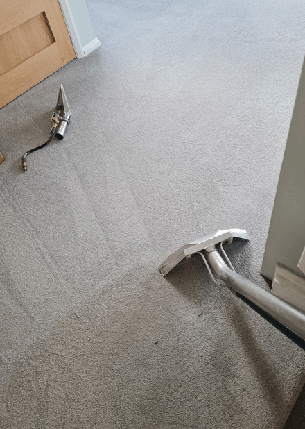 Carpet Cleaning Through Micks Professional Services in Hastings