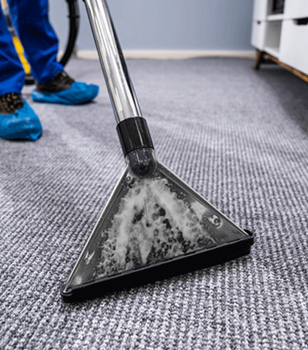 Choice For Newport Carpet Cleaning Company