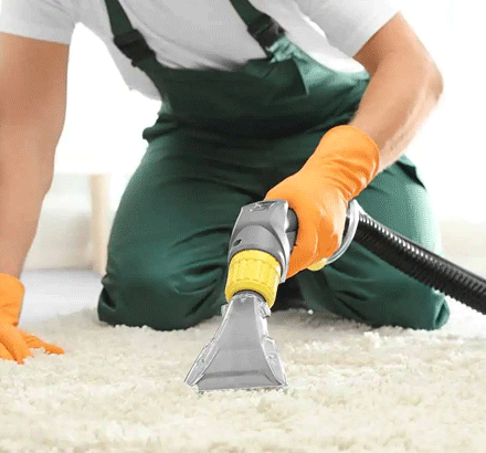 Choose Our Carpet Cleaning Service