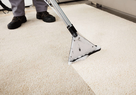 Best Carpet Cleaning Frankston Service