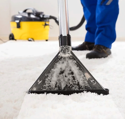 Effective Carpet Steam Cleaning Procedure in Burwood