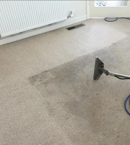 Entire Carpet Cleaning Packages