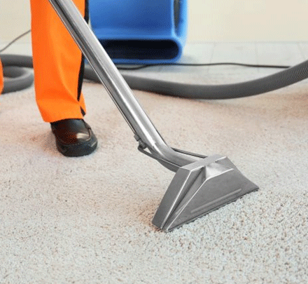 Expert Carpet Cleaning Service