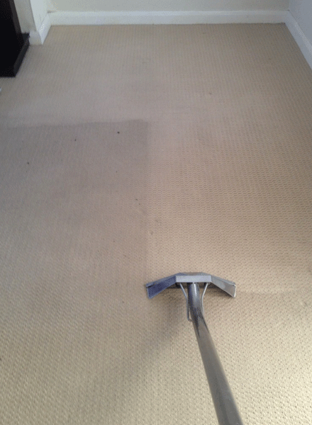 Get The Advantages of Our Carpet Cleaning