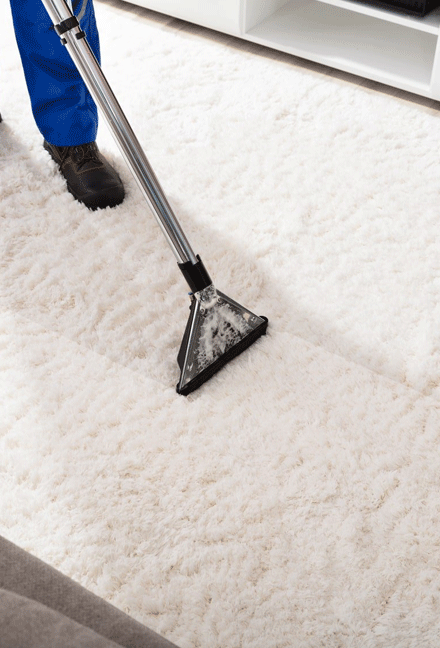 Eco Friendly Carpet Cleaning Greensborougha