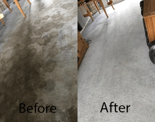 Micks Carpet Cleaning Melbourne