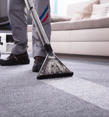 Most Demanded Carpet Cleaning
