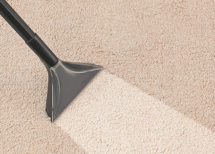  Our Carpet Cleaning Melton Process
