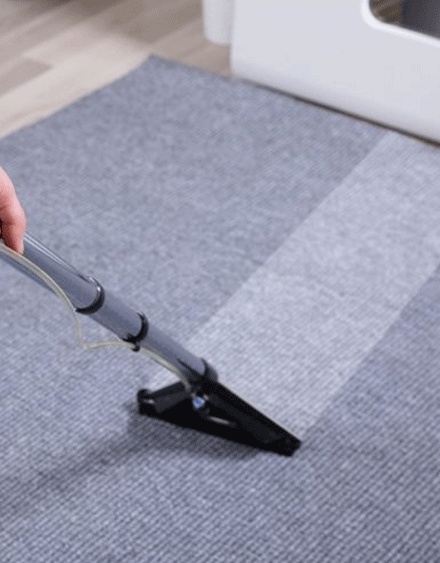 Our Effective Carpet Cleaning Procedure in Newport