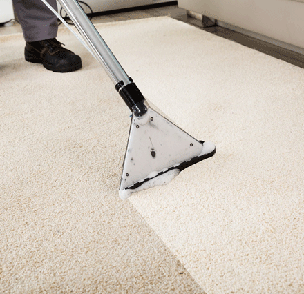Perform Cleaning Of Your Carpets