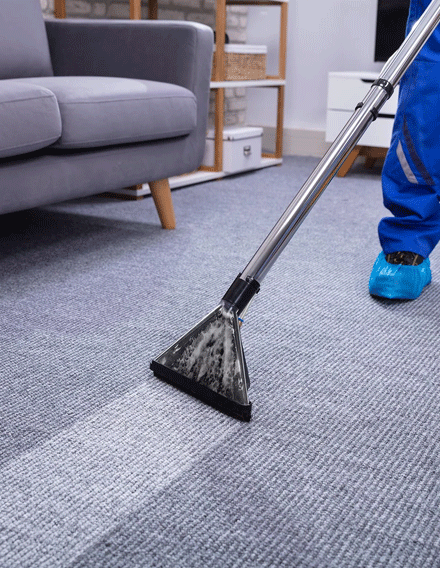 Professional Carpet Cleaners Around or In Greenvale