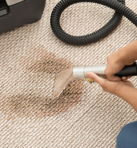 Hire For Professional Carpet Steam Cleaning in Bundoora