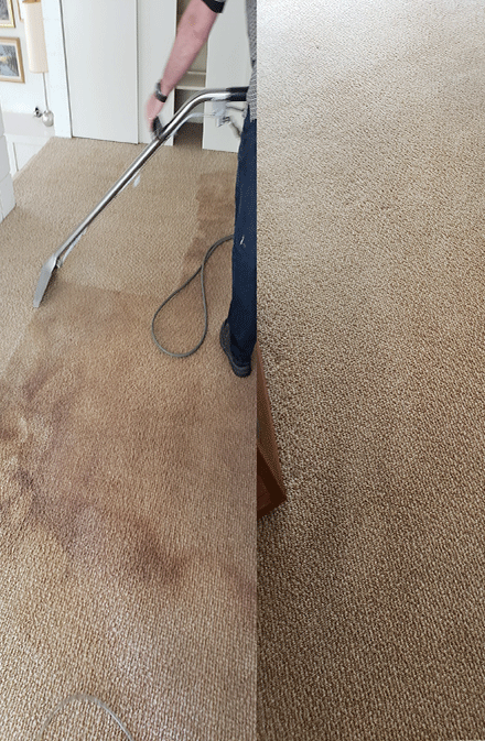 Professionals Carpet Cleaning Hastings