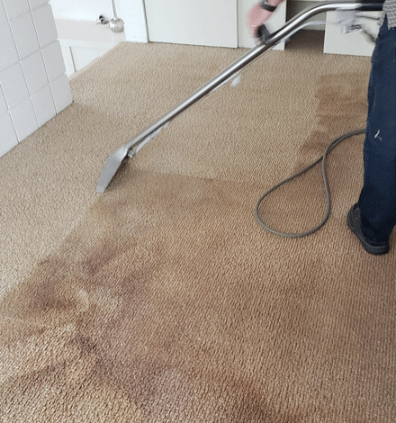 Removing All Forms Of Carpet Stains