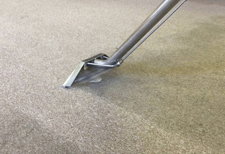 Scotchgard Fabric Protection for Your Carpets
