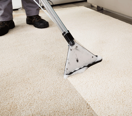 Solutions for Professional Carpet Cleaning