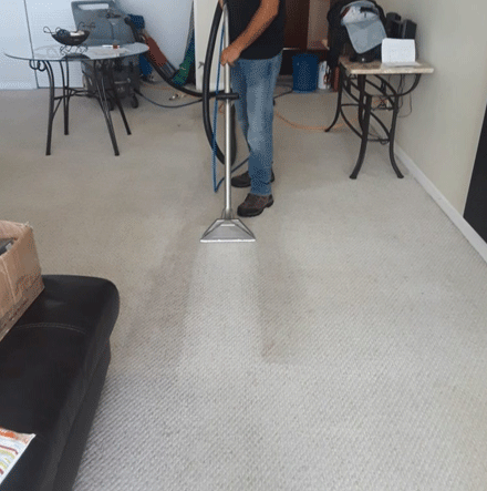 South Melbourne Professionals For Carpet Steam Cleaning