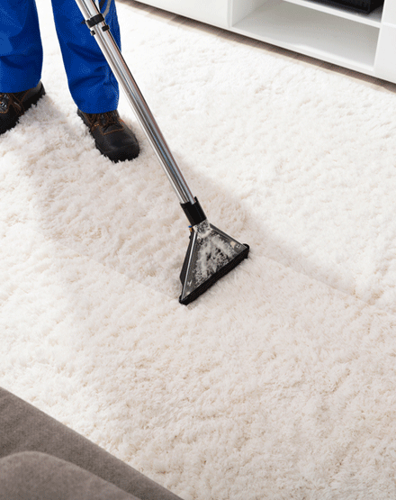 Supplementary Services With Carpet Cleaning