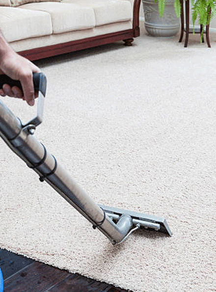 The importance of professional carpet cleaning