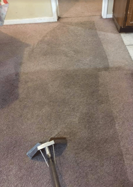 Various Reasons For Cleaning Your Carpets