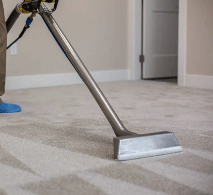 Why Carpet Cleaning Is Necessary in Carrum Downs