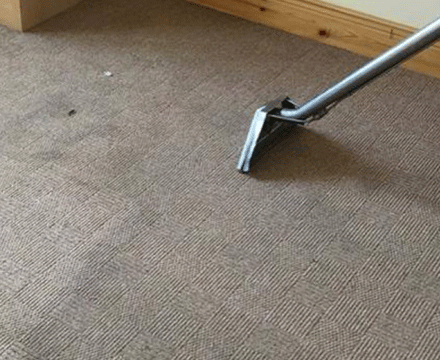 Why You Need Professional Carpet Cleaning