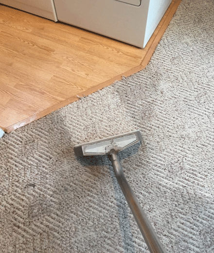 expect from our carpet cleaning services
