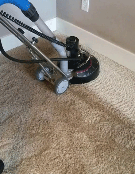 properly clean your carpets