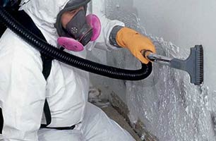 Mold Remediation Services