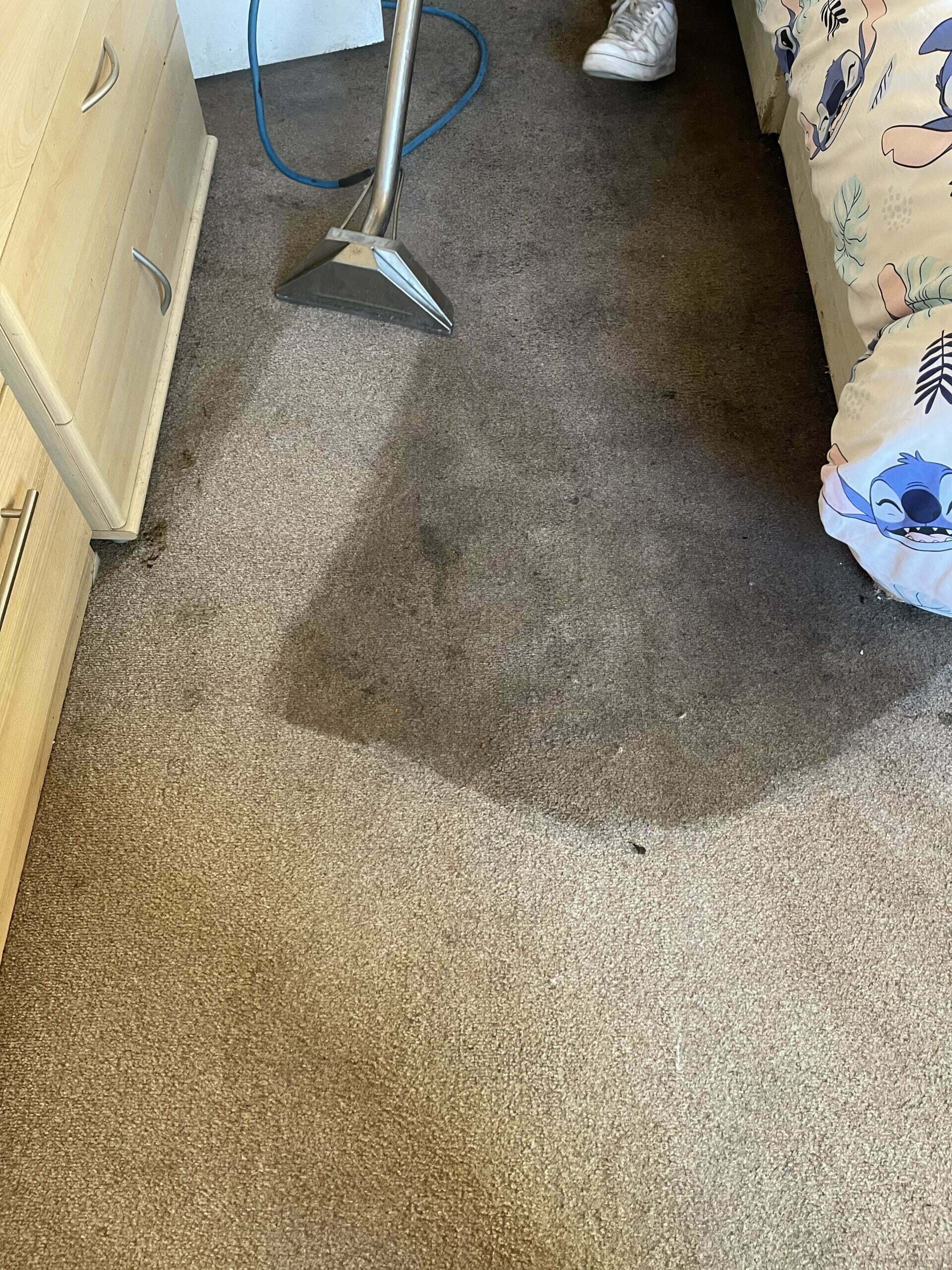 Our Carpet Cleaning Process